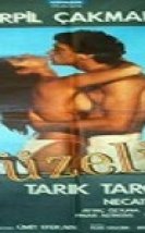 Güzelim Erotik Film izle