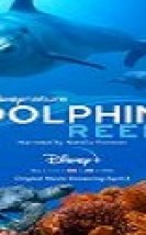 Dolphin Reef Türkçe Altyazılı 2020 Filmi izle