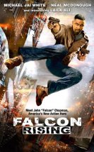 Falcon Rising