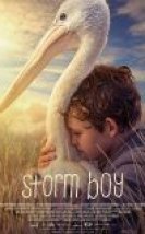 Fırtına Çocuğu