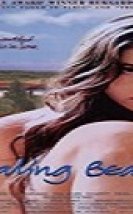 Stealing Beauty Erotik Film izle