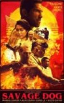 Kanunsuz Topraklarda