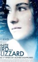 Karda Beyaz Bir Kuş