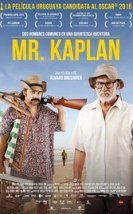 Mr. Kaplan