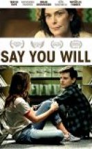 Say You Will