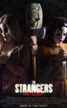 Ziyaretçiler Gece Avı