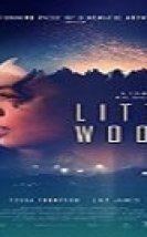 Little Woods Türkçe Dublajlı izle