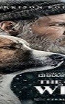 Vahşetin Çağrısı Türkçe Altyazılı 2020 Filmi izle