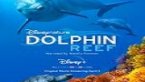 Dolphin Reef Türkçe Altyazılı 2020 Filmi izle