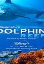 Dolphin Reef Türkçe Altyazılı 2020 Filmi izle