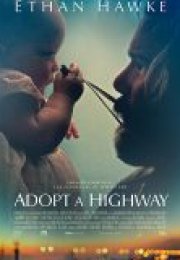 Adopt a Highway