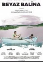 Beyaz Balina