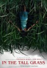 In the Tall Grass