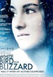 Karda Beyaz Bir Kuş