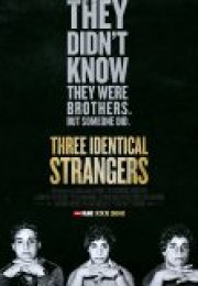 Three Identical Strangers