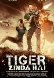 Tiger Zinda Hai