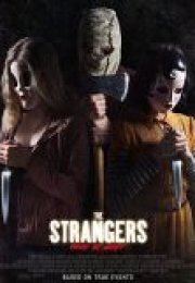 Ziyaretçiler Gece Avı