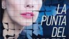 Buzdağının Zirvesi