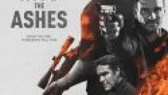 Into the Ashes