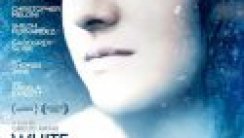 Karda Beyaz Bir Kuş