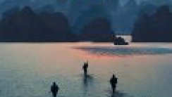 Kong Kafatası Adası