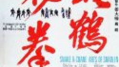 Shaolin’in Yılan ve Turna Tekniği