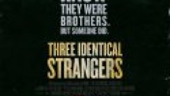 Three Identical Strangers